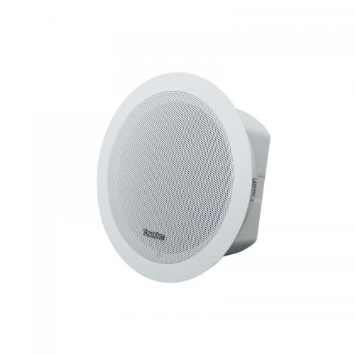 IP Ceiling Speaker